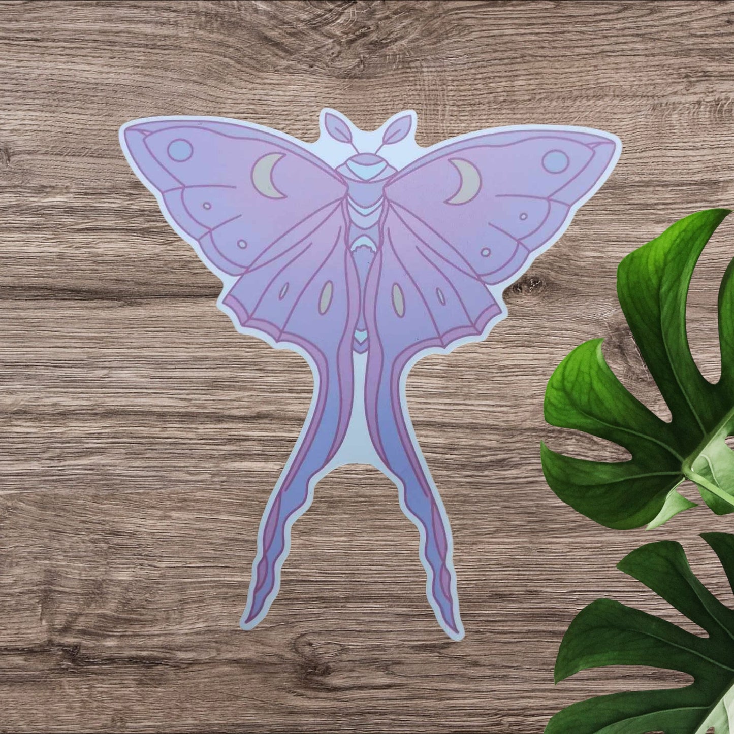 Pastel Lunar Moth Vinyl Sticker XL