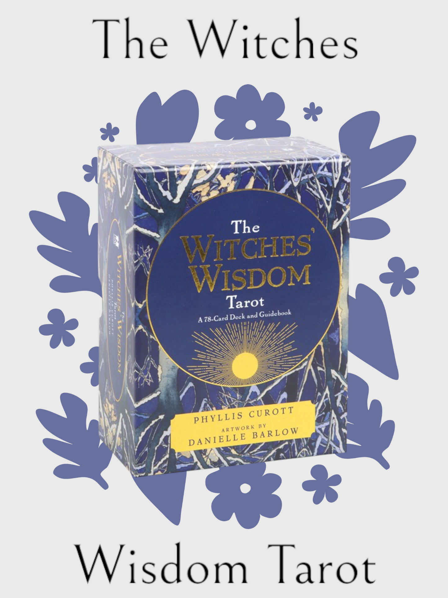 The Witches Wisdom Tarot Cards